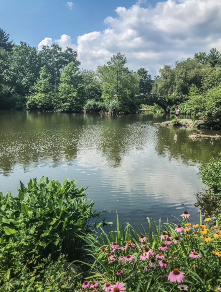 Central Park: Eat, Read, Explore